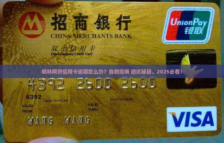 榆林网贷信用卡逾期咨询如何处理