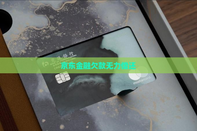 京东金融欠款无力偿还