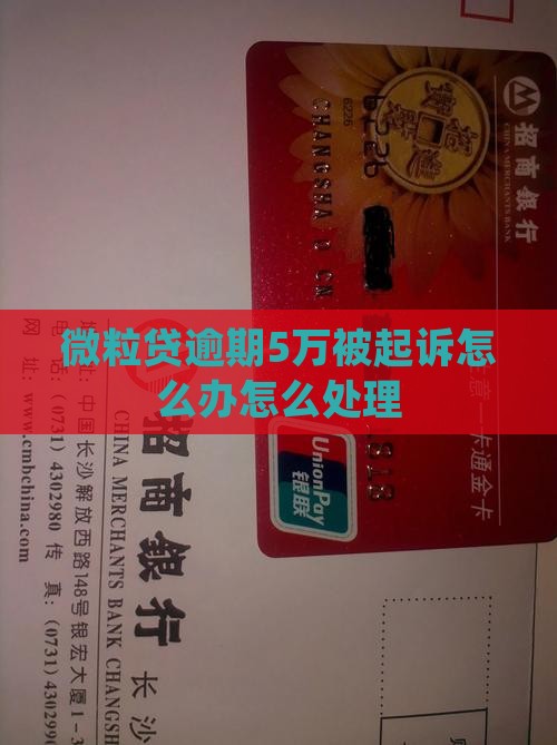 微粒贷逾期5万起诉怎么处理