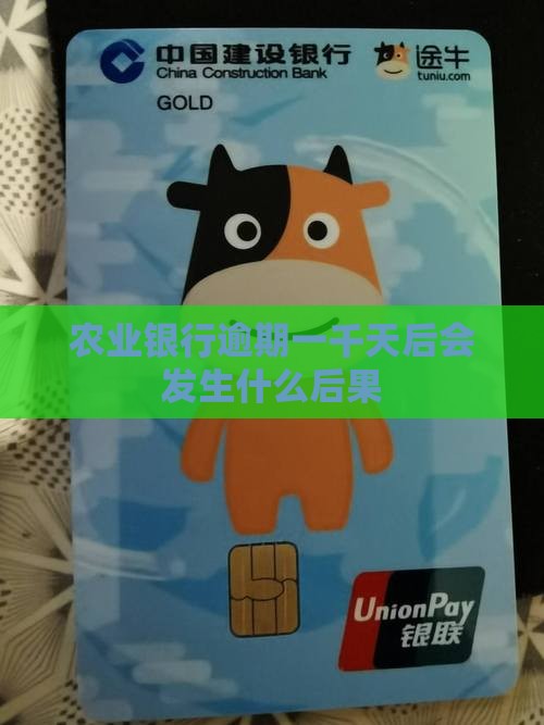 农业银行逾期一千天后会发生什么