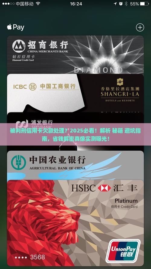 被判刑信用卡欠款处理