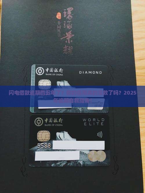 闪电借款逾期四五年了