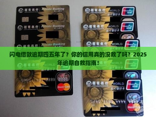 闪电借款逾期四五年了