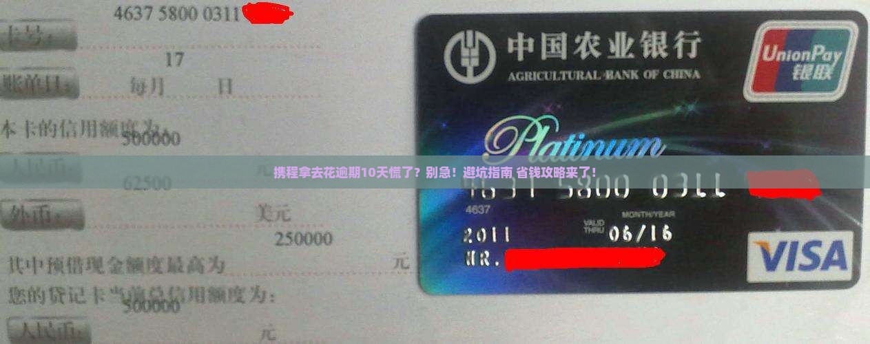 携程拿去花逾期10天怎么办