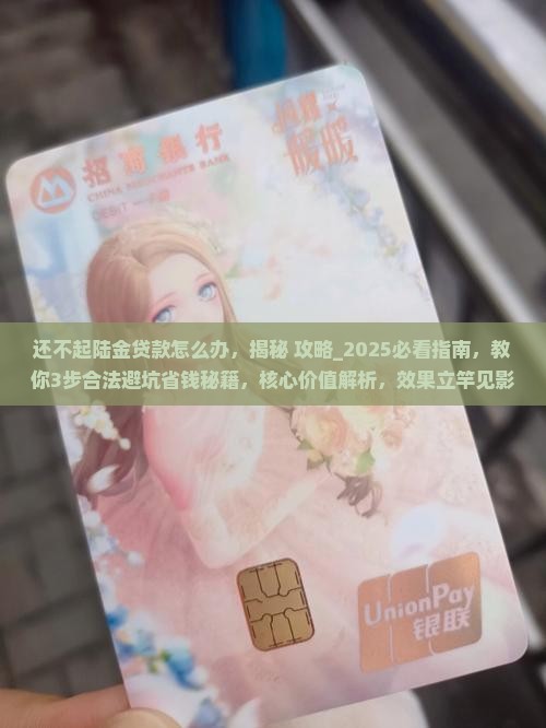 还不起陆金贷款怎么办