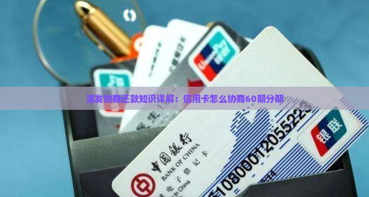 浦发协商60期还款方案详解