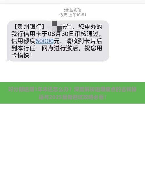 好分期逾期1年未还怎么办