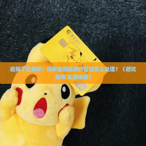 招联金融逾期打征信