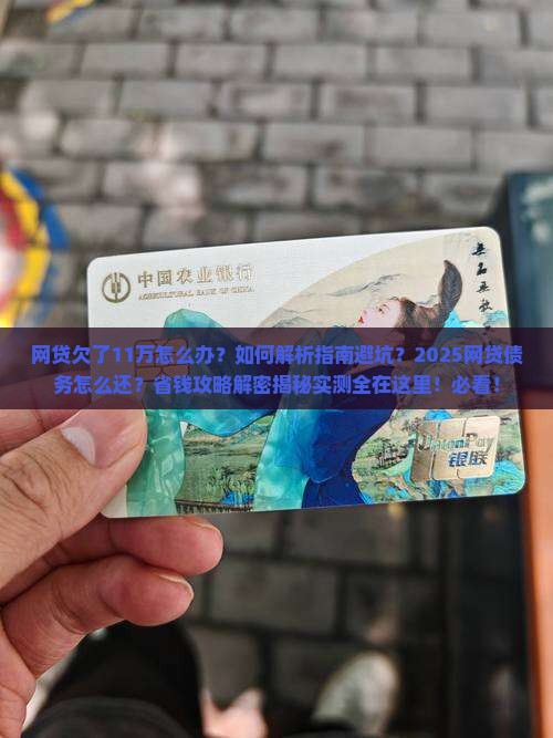 网贷欠了11万怎么办
