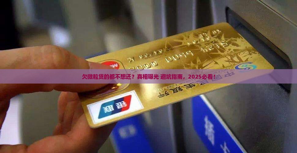 欠微粒贷的都不想还