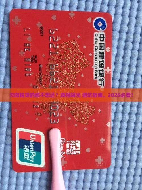 欠微粒贷的都不想还