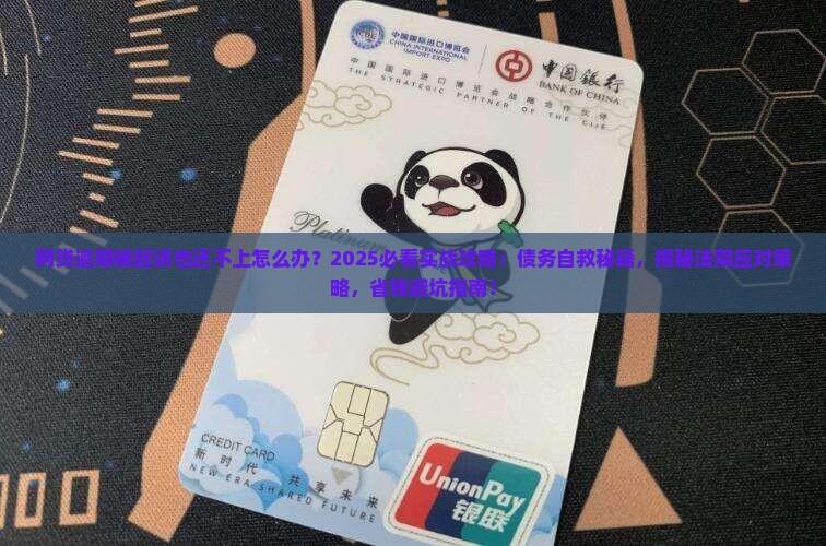 网贷逾期被起诉也还不上怎么办