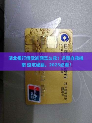 湖北银行借款逾期怎么解决