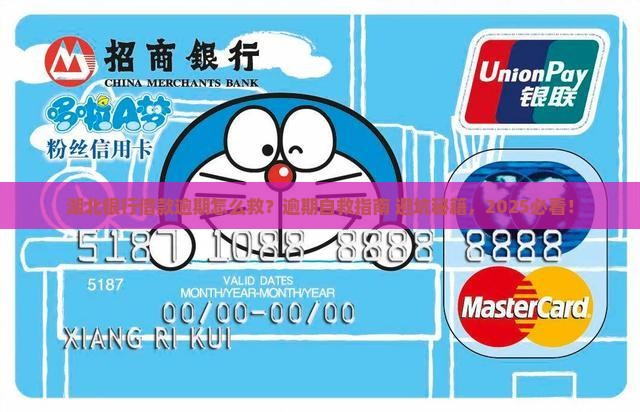 湖北银行借款逾期怎么解决