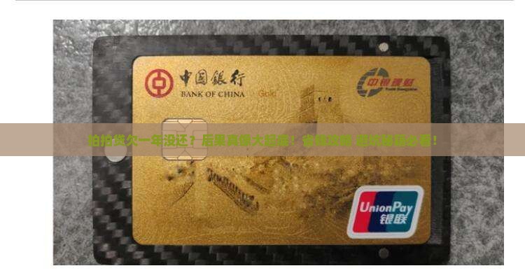 拍拍贷一年没还会怎样