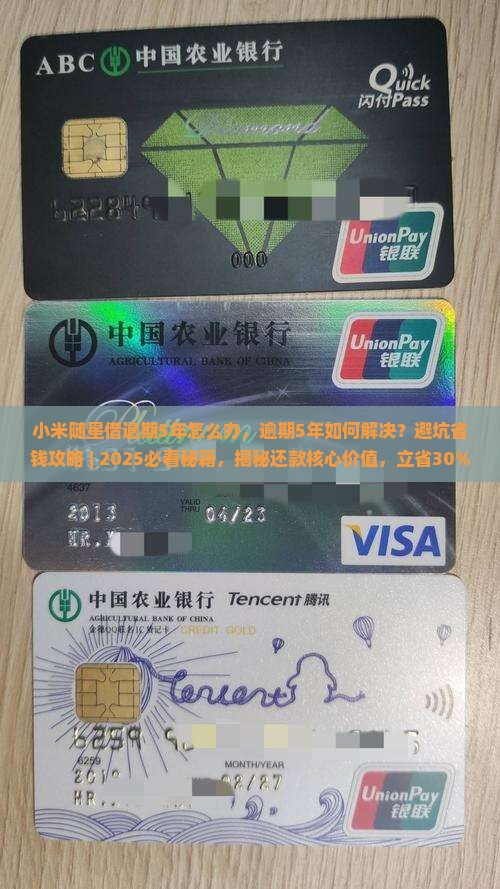 小米随星借逾期5年怎么办
