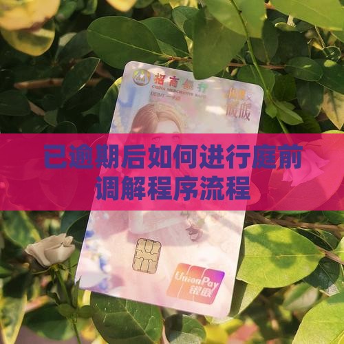已逾期后如何进行庭前调解程序