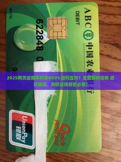 网贷逾期年利率百分之八百应该怎么应对 网贷逾期年利率百分之八百应该怎么应对