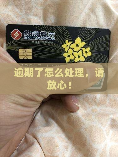 放心呗逾期了怎么办