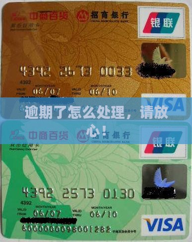 放心呗逾期了怎么办