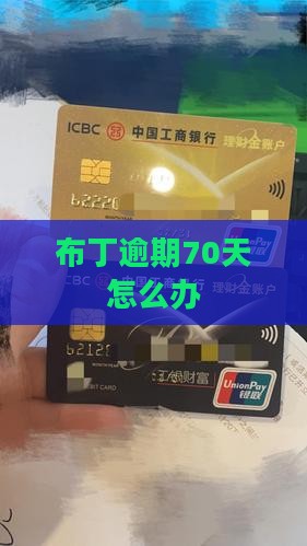 布丁小贷逾期70天