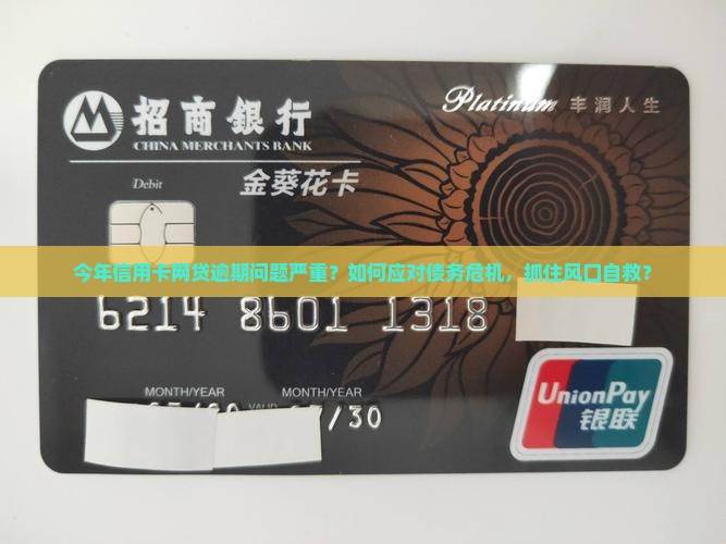 今年好多信用卡和网贷逾期如何解决