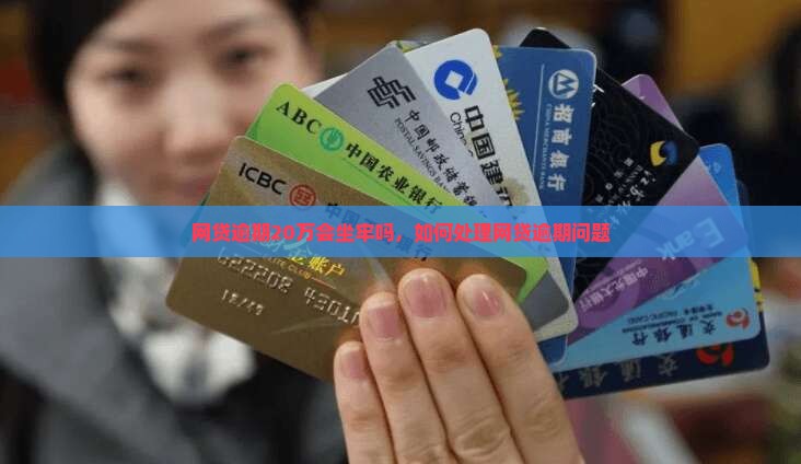 网贷逾期20万判几年如何处理