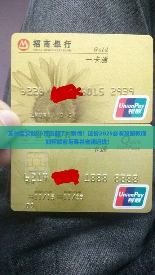 支付宝逾期20万的后果应该如何应对