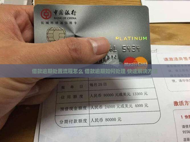 借款逾期处置流程怎么办理