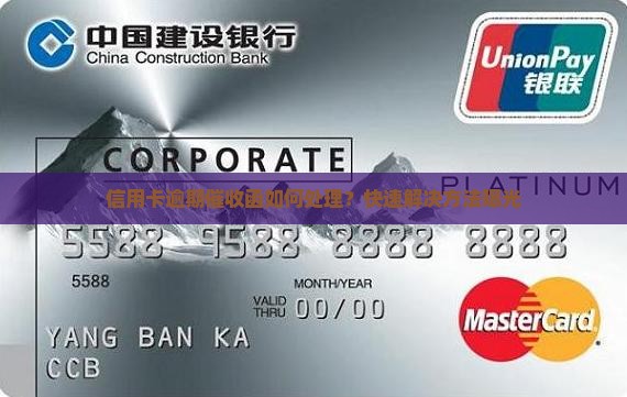 信用卡逾期催收函如何处理