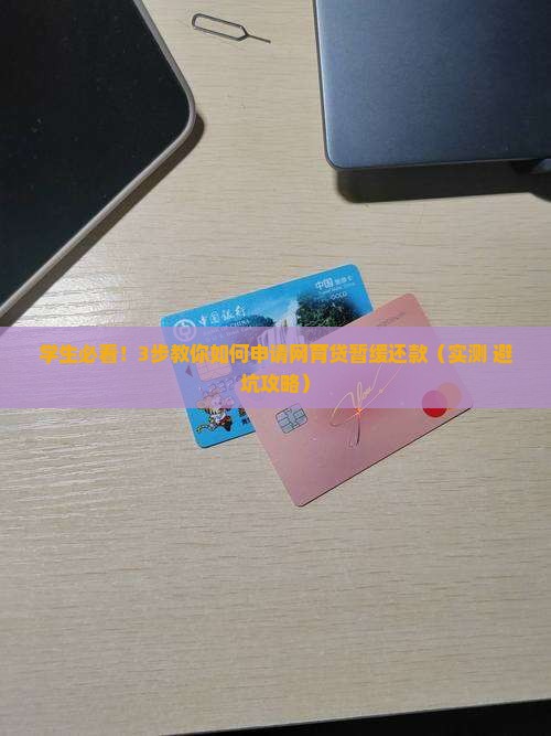 网育贷暂缓还款申请流程详解
