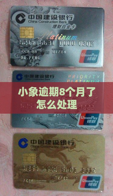 小象优品逾期8个月了该如何处理
