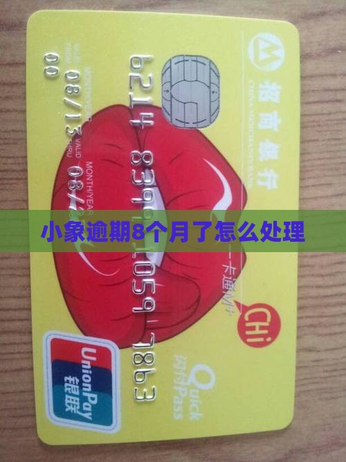 小象优品逾期8个月了该如何处理