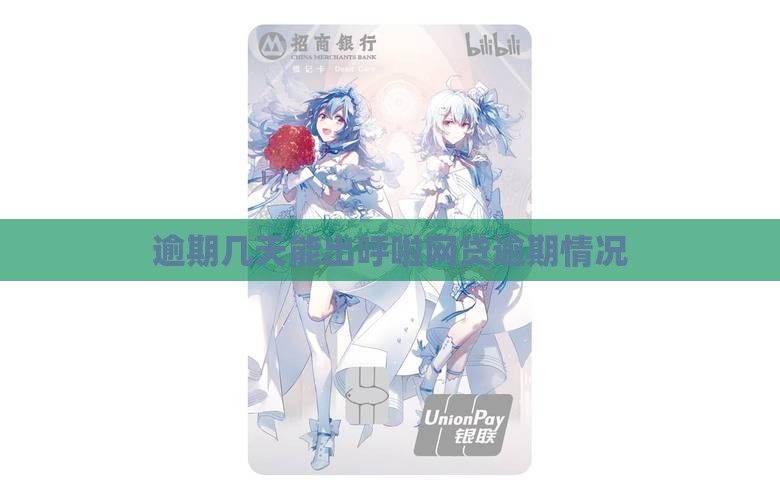 呼啦快贷逾期几天能出来吗