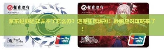 京东延期还款弄不了怎么办理解决方法