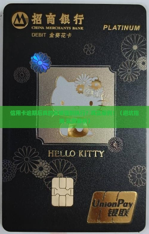 信用卡逾期强制执行案例