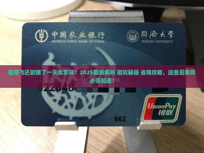 信用飞还款晚了一天会怎样