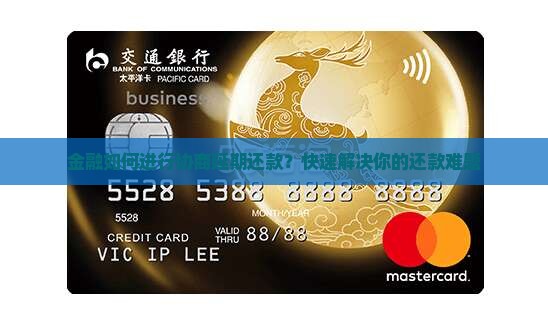招联金融如何进行协商延期还款