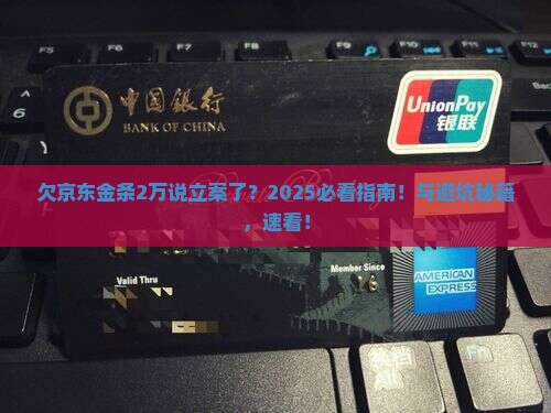 欠京东金条2万说立案了要