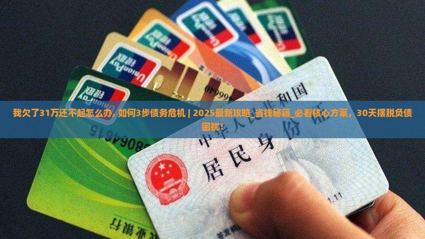 我欠了31万还不起怎么办