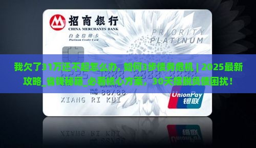 我欠了31万还不起怎么办