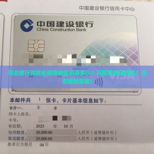 河北银行贷款逾期滞纳金多少