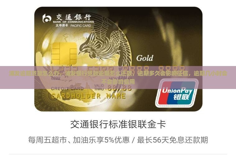 浦发逾期贷款怎么办
