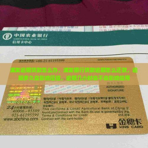 浦发逾期贷款怎么办