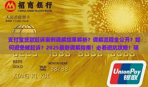 支付宝贷款起诉案例调解结果如何