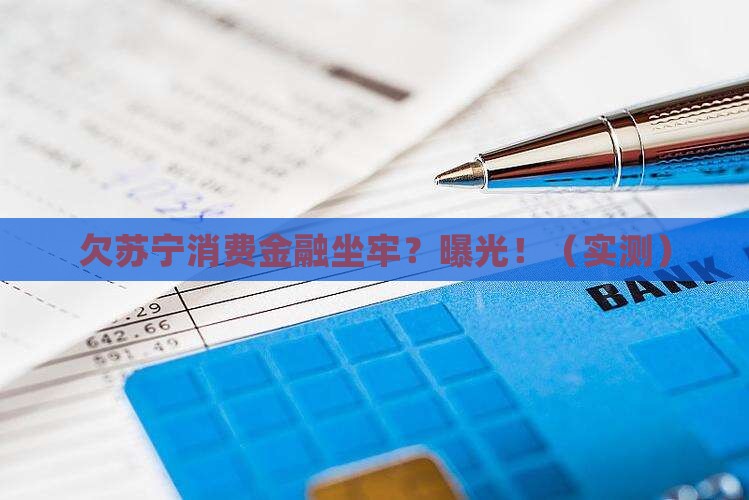 欠苏宁消费金融坐牢亲身经历