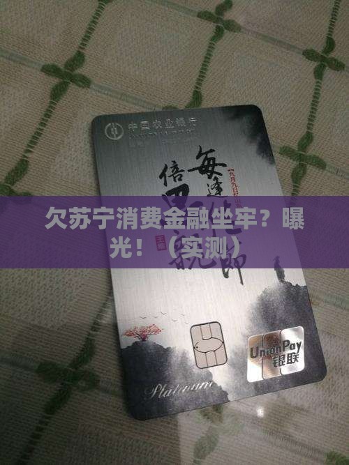欠苏宁消费金融坐牢亲身经历