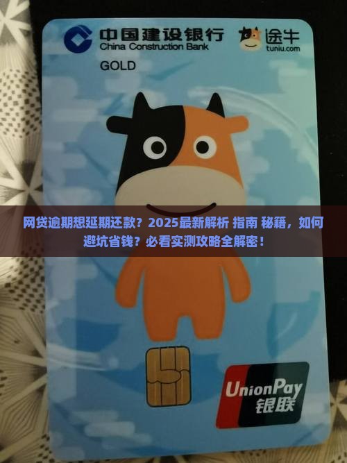 网贷逾期该怎样协商延期还款