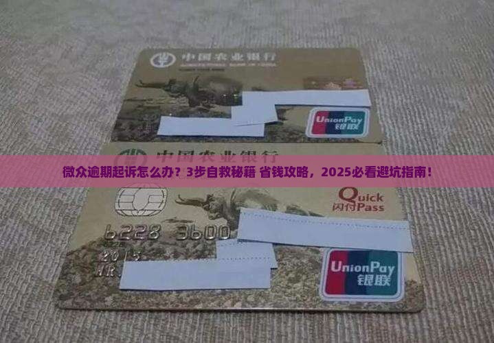 微众逾期起诉