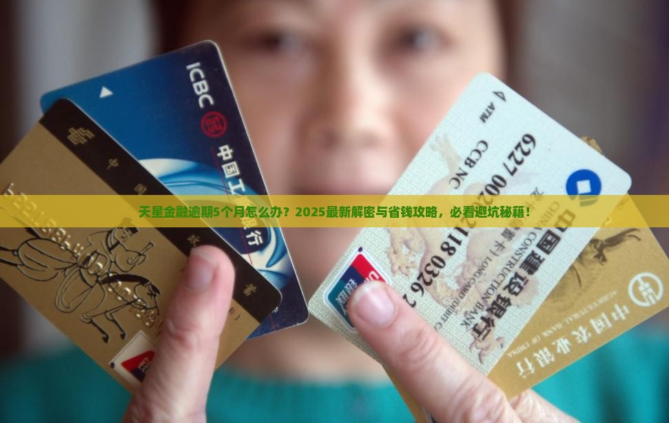 天星金融逾期5个月怎么处理